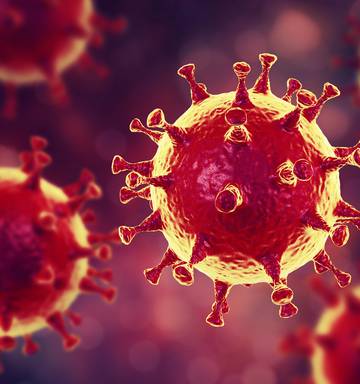 Picture of Corona virus 19 taken from NZ Herald : https://www.nzherald.co.nz/